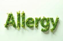 Comment le changement climatique affecte-t-il les allergies saisonnières ? (Visuel Adobe Stock 1133111155)