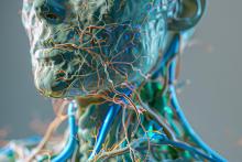 Comment le sommeil profond clarifie littéralement l'esprit (Visuel Adobe Stock 1160812632) Comment le sommeil profond clarifie littéralement l'esprit (Visuel Adobe Stock 1160812632)