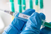 Ces 2 nouvelles revues Cochrane confirment que la vaccination contre le HPV prévient efficacement le cancer du col de l'utérus (Visuel Adobe Stock 117679416) Ces 2 nouvelles revues Cochrane confirment que la vaccination contre le HPV prévient efficacement le cancer du col de l'utérus (Visuel Adobe Stock 117679416)