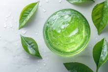 L'étude révèle et décrypte le mécanisme d'induction de l'apoptose des cellules cancéreuses, par l'extrait de feuille de stévia (Visuel Adobe Stock 1256266562) 