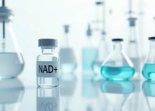 L'étude documente les dangers des compléments « anti-âge » dans le cas de certains cancers (Visuel Adobe Stock 1500224499) L'étude documente les dangers des compléments « anti-âge » dans le cas de certains cancers (Visuel Adobe Stock 1500224499)