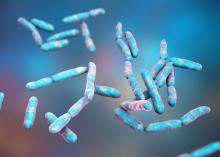 Cette recherche décrypte les voies de transmission de cette bactérie encore négligée, Escherichia albertii, de l’animal à l’homme (Visuel Adobe Stock 1541687513) Cette recherche décrypte les voies de transmission de cette bactérie encore négligée, Escherichia albertii, de l’animal à l’homme (Visuel Adobe Stock 1541687513)