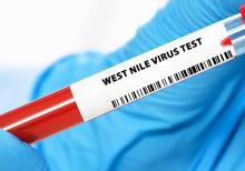 Cette équipe sensibilise et apporte de premières recommandations, dans l'objectif de pouvoir mieux détecter, prévenir, et prendre en charge la maladie (Visuel Adobe Stock 1599953667) Cette équipe sensibilise et apporte de premières recommandations, dans l'objectif de pouvoir mieux détecter, prévenir, et prendre en charge la maladie (Visuel Adobe Stock 1599953667)