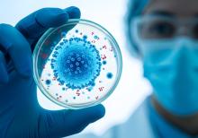 2 virus émergents pourraient constituer de prochaines menaces pour la santé publique : le virus de la grippe D et le coronavirus canin (Visuel Adobe Stock 1856053862) 2 virus émergents pourraient constituer de prochaines menaces pour la santé publique : le virus de la grippe D et le coronavirus canin (Visuel Adobe Stock 1856053862)