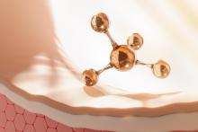 L'étude identifie un transporteur de lipides essentiel à la santé de la peau (Visuel Adobe Stock 1912733422) L'étude identifie un transporteur de lipides essentiel à la santé de la peau (Visuel Adobe Stock 1912733422)