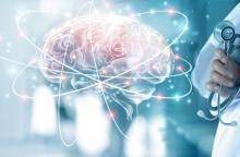 Ce principe « use it or lose it » peut également s’appliquer à la plasticité cérébrale (Visuel Adobe Stock 208730889) Ce principe « use it or lose it » peut également s’appliquer à la plasticité cérébrale (Visuel Adobe Stock 208730889)