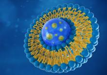 Ce nouveau dérivé de la daunorubicine, encapsulé dans des liposomes, délivre le principe actif directement aux cellules tumorales tout en minimisant les dommages aux tissus sains (Visuel Adobe Stock 228277001)