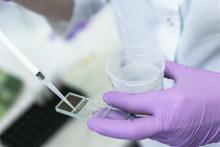 La perte d'un gène clé de la fertilité masculine entraîne des modifications de l'expression de centaines d'autres gènes (Visuel Adobe Stock 251608643) La perte d'un gène clé de la fertilité masculine entraîne des modifications de l'expression de centaines d'autres gènes (Visuel Adobe Stock 251608643)