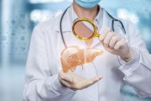 Le lactate d'éthyle, un composé non éthanolique des boissons alcoolisées, pourrait en effet soulager les maladies hépatiques associées à l'alcool (Visuel Adobe Stock 284475089)