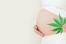 On ne le répètera jamais suffisamment, c’est à la période critique du développement cérébral que l’exposition au cannabis est la plus dramatique (Visuel Adobe Stock 292844205)