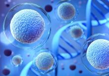 La recherche révèle des courants d’air intracellulaires qui stimulent le mouvement et la réparation cellulaires (Visuel Adobe Stock 451004383) La recherche révèle des courants d’air intracellulaires qui stimulent le mouvement et la réparation cellulaires (Visuel Adobe Stock 451004383)