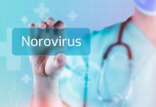 Ce nouveau système permet de préciser les fonctions de gènes spécifiques du norovirus et d'étudier les mécanismes de sa réplication et de sa pathogénicité (Visuel Adobe Stock 531961521). Ce nouveau système permet de préciser les fonctions de gènes spécifiques du norovirus et d'étudier les mécanismes de sa réplication et de sa pathogénicité (Visuel Adobe Stock 531961521).