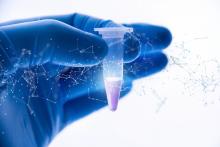 Cette recherche révèle la propagation cachée de l'une des infections nosocomiales les plus courantes et les plus contagieuses, l’infection à C. difficile (Visuel Adobe Stock 545479220)