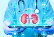 Cette équipe de bioingénieurs japonais parvient à produire du tissu urétéral « artificiel » à partir de cellules souches (Visuel Adobe Stock 586776962) Cette équipe de bioingénieurs japonais parvient à produire du tissu urétéral « artificiel » à partir de cellules souches (Visuel Adobe Stock 586776962)