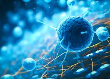 En créant un interrupteur moléculaire capable de dissoudre les noyaux des cellules cancéreuses, où se concentrent des foyers d’ARN liquides, il devient possible de stopper la tumeur (Visuel Adobe Stock 622959123)