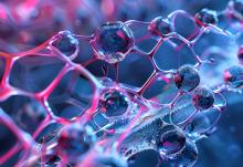 Ces chercheurs décryptent le rôle des molécules de sucre dans la protection contre le vieillissement cérébral. (Visuel Adobe Stock 772635026)