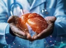 L'étude révèle les avantages possibles de l'alimentation et de l'exercice physique contre les effets néfastes de l'alcool sur la santé hépatique (Visuel Adobe Stock 794933378) L'étude révèle les avantages possibles de l'alimentation et de l'exercice physique contre les effets néfastes de l'alcool sur la santé hépatique (Visuel Adobe Stock 794933378)