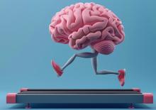 L'exercice physique ne fait pas que renforcer les muscles, il modifie également le fonctionnement du cerveau (Visuel Adobe Stock 829908868) L'exercice physique ne fait pas que renforcer les muscles, il modifie également le fonctionnement du cerveau (Visuel Adobe Stock 829908868)