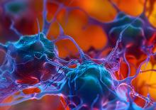 Les tumeurs cérébrales détournent le métabolisme du sucre pour échapper à la réponse immunitaire (Visuel Adobe Stock 856475313) Les tumeurs cérébrales détournent le métabolisme du sucre pour échapper à la réponse immunitaire (Visuel Adobe Stock 856475313)