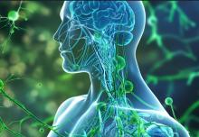 Le nouveau traitement anti-amyloïde, le lecanemab, (Leqembi) ne semble pas affecter pas l'élimination des déchets à court terme dans la maladie d'Alzheimer (Visuel Adobe Stock 862650484) Le nouveau traitement anti-amyloïde, le lecanemab, (Leqembi) ne semble pas affecter pas l'élimination des déchets à court terme dans la maladie d'Alzheimer (Visuel Adobe Stock 862650484)