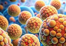 L'exposition aux particules fines finit par entraîner une accumulation accrue de graisse et de signes de lésions tissulaires et de fibrose (Visuel Adobe Stock 905895075) L'exposition aux particules fines finit par entraîner une accumulation accrue de graisse et de signes de lésions tissulaires et de fibrose (Visuel Adobe Stock 905895075)