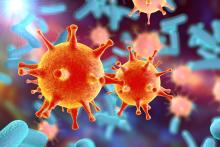 L'étude révèle une stratégie microbienne brutale et jusque-là inconnue, lorsque la nourriture se fait rare : certaines bactéries tuent et consomment leurs voisines (Visuel Adobe Stock 91414528)