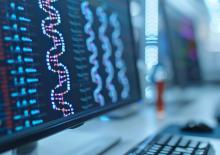 Le gène SOX2 est un acteur clé de la progression du cancer de la prostate et de sa résistance aux traitements (Visuel Adobe Stock 925555245) Le gène SOX2 est un acteur clé de la progression du cancer de la prostate et de sa résistance aux traitements (Visuel Adobe Stock 925555245)