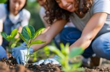 Ces chercheurs travaillent sur le concept de « luxury effect » qui sous-entend que les zones les plus riches ont tendance à avoir une biodiversité plus élevée, et une meilleure santé (Visuel Adobe Stock 933038479)