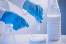 Ces nanoparticules du lait vont permettre de relever l’un des plus grands défis des traitements contre les cancers et d’autres maladies : cibler des thérapies sur des cellules spécifiques et épargner les cellules saines. (Visuel Adobe Stock 948910082)