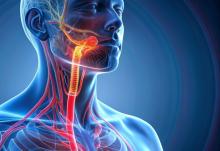 L’intelligence artificielle (IA) appliquée aux radiographies pourrait grandement faciliter le diagnostic complexe de l’achalasie (Visuel Adobe Stock 954134716) L’intelligence artificielle (IA) appliquée aux radiographies pourrait grandement faciliter le diagnostic complexe de l’achalasie (Visuel Adobe Stock 954134716)