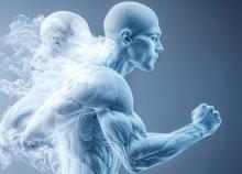 L'activité physique augmente la dépense énergétique quotidienne pas seulement pendant l’exercice mais au global, sur l’ensemble de la journée (Visuel Adobe Stock 961286343)