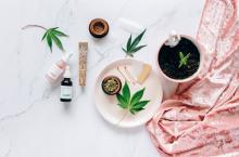 Les fleurs de CBD plongent leurs racines dans l’histoire du chanvre, une plante utilisée depuis des millénaires pour ses nombreuses applications, allant de la fabrication de textiles aux remèdes médicinaux (Visuel pexels 7852556)