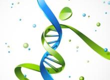 L'étude met en lumière les disparités en matière de probabilité de décès prématuré, qui reflètent, notamment, d'importantes inégalités d'accès aux soins et technologies de santé (Visuel Fotolia 52681939) L'étude met en lumière les disparités en matière de probabilité de décès prématuré, qui reflètent, notamment, d'importantes inégalités d'accès aux soins et technologies de santé (Visuel Fotolia 52681939)